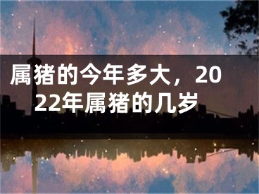 属猪的今年多大，2022年属猪的几岁