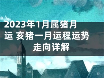 2023年1月属猪月运 亥猪一月运程运势走向详解