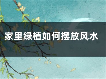 家里绿植如何摆放风水