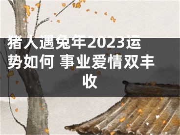 猪人遇兔年2023运势如何 事业爱情双丰收