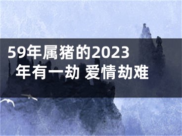 59年属猪的2023年有一劫 爱情劫难