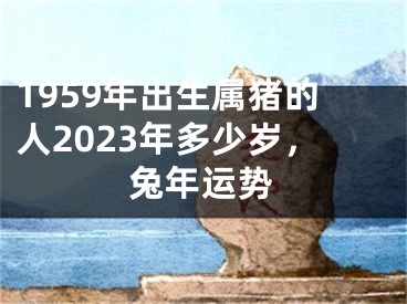 1959年出生属猪的人2023年多少岁，兔年运势