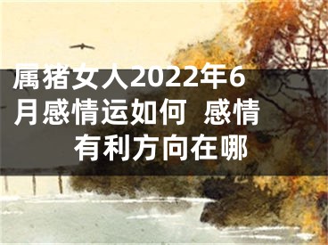 属猪女人2022年6月感情运如何  感情有利方向在哪