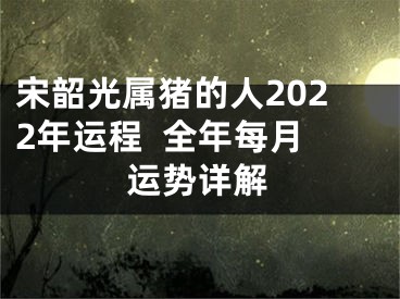 宋韶光属猪的人2022年运程  全年每月运势详解