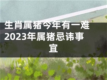 生肖属猪今年有一难 2023年属猪忌讳事宜