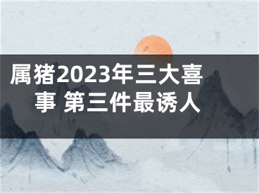 属猪2023年三大喜事 第三件最诱人