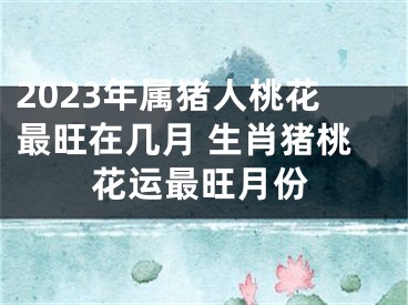 2023年属猪人桃花最旺在几月 生肖猪桃花运最旺月份