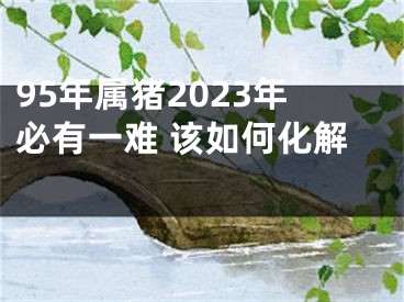 95年属猪2023年必有一难 该如何化解 