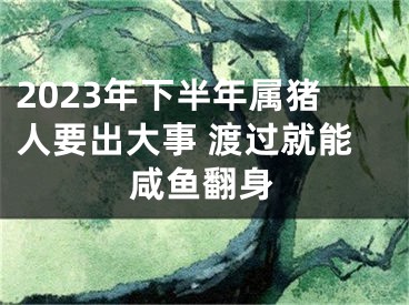 2023年下半年属猪人要出大事 渡过就能咸鱼翻身