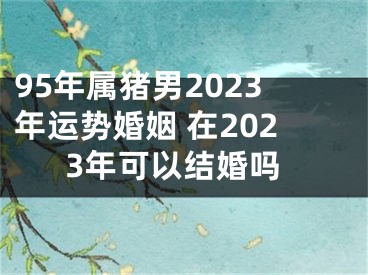 95年属猪男2023年运势婚姻 在2023年可以结婚吗