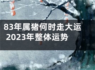 83年属猪何时走大运 2023年整体运势