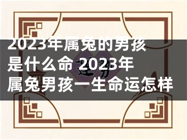 2023年属兔的男孩是什么命 2023年属兔男孩一生命运怎样