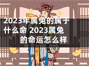 2023年属兔的属于什么命 2023属兔的命运怎么样