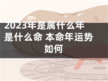 2023年是属什么年是什么命 本命年运势如何