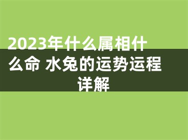 2023年什么属相什么命 水兔的运势运程详解