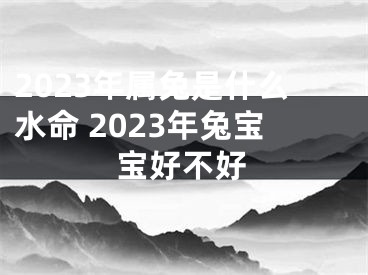 2023年属兔是什么水命 2023年兔宝宝好不好