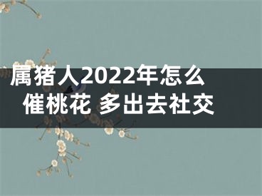 属猪人2022年怎么催桃花 多出去社交