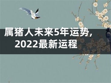 属猪人未来5年运势,2022最新运程