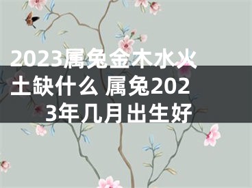 2023属兔金木水火土缺什么 属兔2023年几月出生好