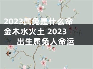 2023属兔是什么命金木水火土 2023出生属兔人命运