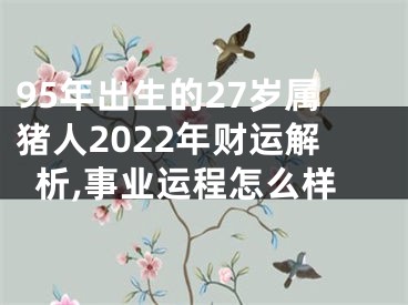 95年出生的27岁属猪人2022年财运解析,事业运程怎么样