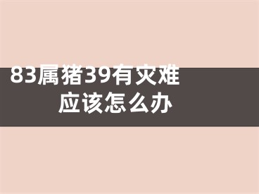 83属猪39有灾难 应该怎么办 