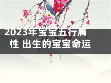 2023年宝宝五行属性 出生的宝宝命运