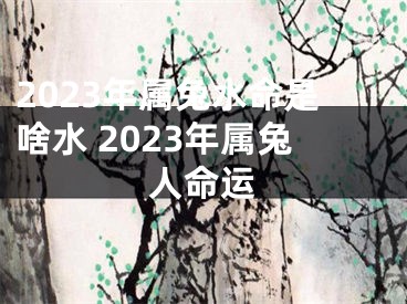 2023年属兔水命是啥水 2023年属兔人命运