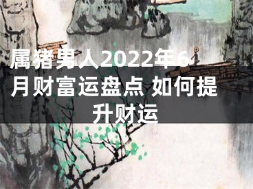 属猪男人2022年6月财富运盘点 如何提升财运