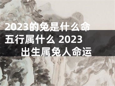 2023的兔是什么命五行属什么 2023出生属兔人命运