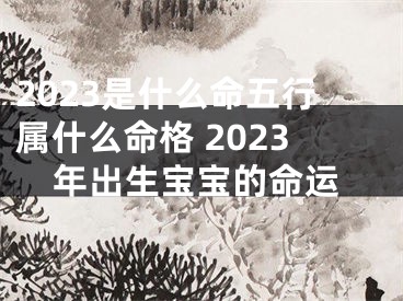 2023是什么命五行属什么命格 2023年出生宝宝的命运