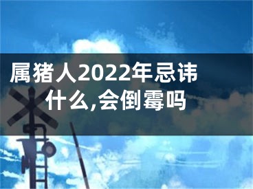 属猪人2022年忌讳什么,会倒霉吗