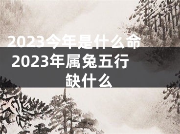 2023今年是什么命 2023年属兔五行缺什么