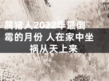 属猪人2022年最倒霉的月份 人在家中坐祸从天上来