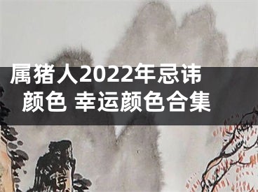 属猪人2022年忌讳颜色 幸运颜色合集