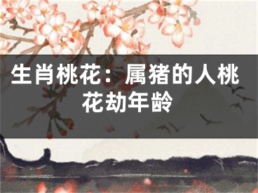 生肖桃花：属猪的人桃花劫年龄