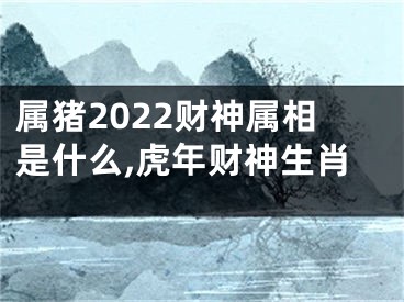 属猪2022财神属相是什么,虎年财神生肖