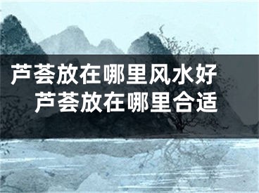 芦荟放在哪里风水好 芦荟放在哪里合适