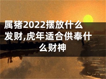 属猪2022摆放什么发财,虎年适合供奉什么财神