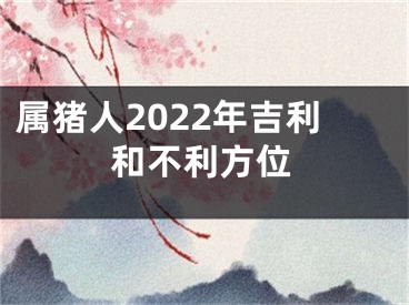 属猪人2022年吉利和不利方位