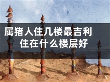 属猪人住几楼最吉利 住在什么楼层好