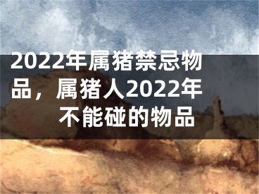 2022年属猪禁忌物品，属猪人2022年不能碰的物品