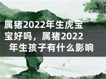 属猪2022年生虎宝宝好吗，属猪2022年生孩子有什么影响