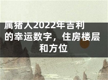 属猪人2022年吉利的幸运数字，住房楼层和方位