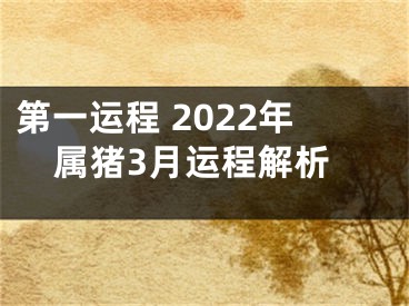 第一运程 2022年属猪3月运程解析