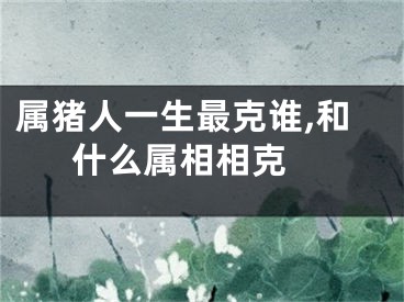 属猪人一生最克谁,和什么属相相克 