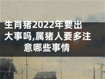 生肖猪2022年要出大事吗,属猪人要多注意哪些事情 