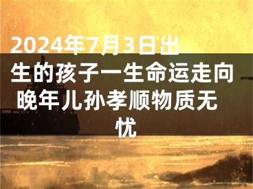 2024年7月3日出生的孩子一生命运走向 晚年儿孙孝顺物质无忧