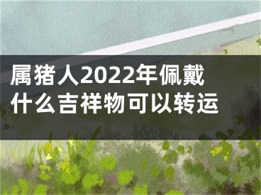 属猪人2022年佩戴什么吉祥物可以转运 