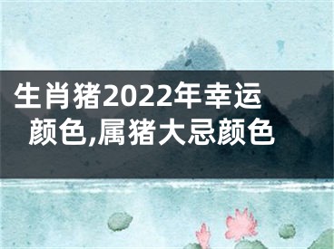 生肖猪2022年幸运颜色,属猪大忌颜色